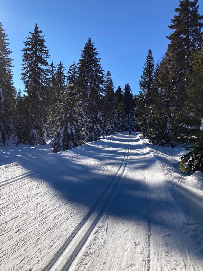 Gite Partage Tresserve Exteriör bild